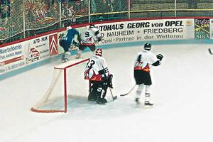 Eishockey-Tornetze aus Polyester