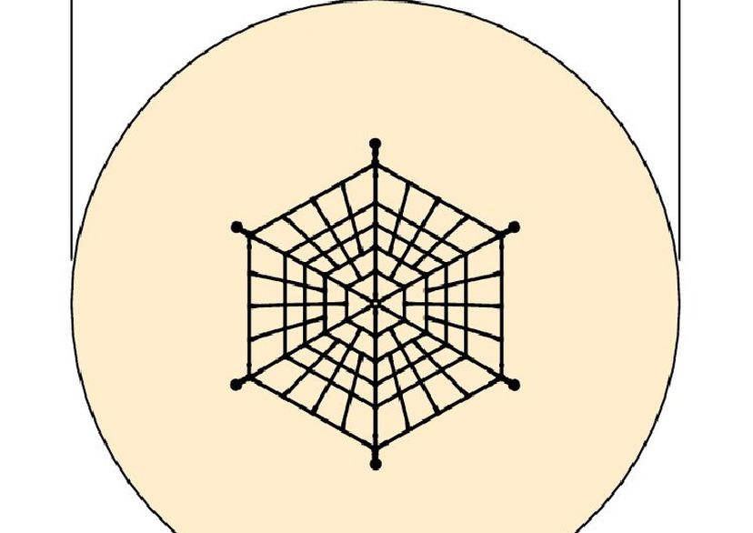 Spinnennetz „Steindorf“