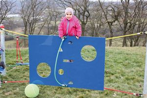 Seilspielgerät Tor- und Kletterwand, für Robinie-Pfosten