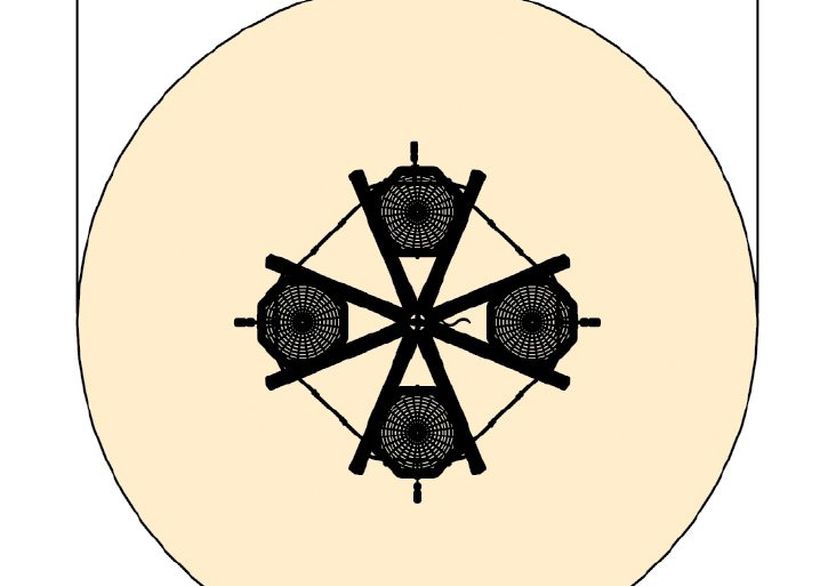 Vogelnestbaum Midi