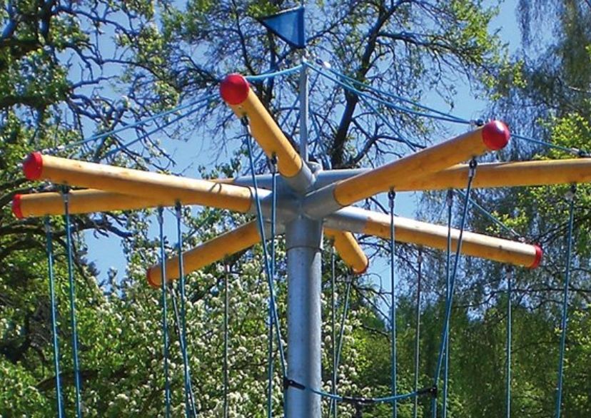 Vogelnestbaum Midi