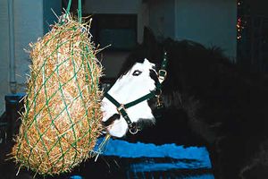 Heutnetz für Reitsport und Landwirtschaft