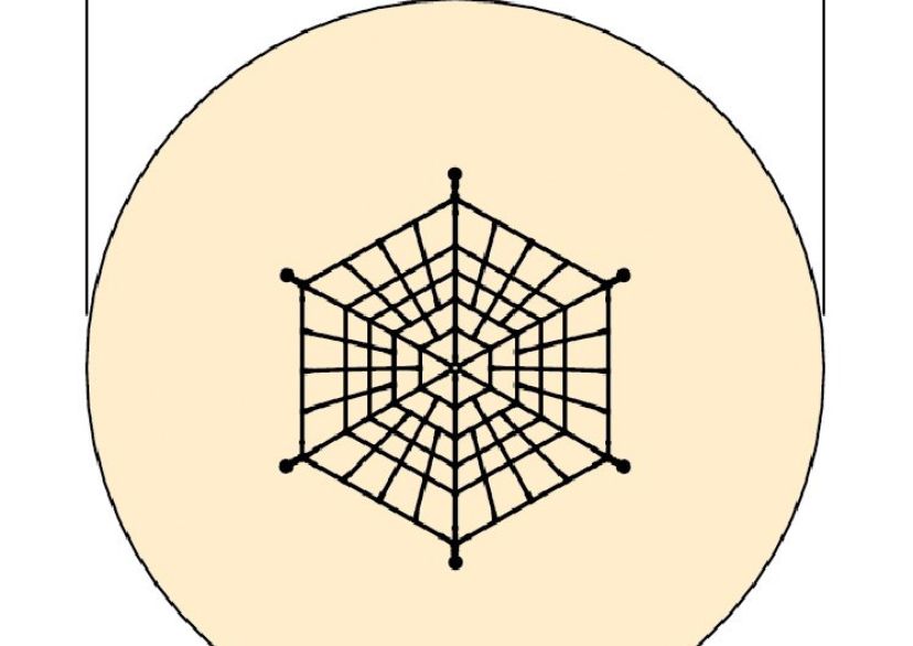 Spinnennetz „Steindorf“