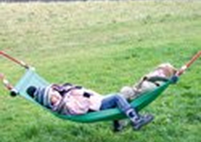 Polyester hammock
