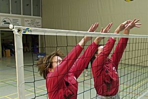 Volleyball-Trainingsnetz "Exklusiv" aus Polypropylen hochfest ringsum eingefasst