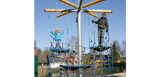 Seilspielgeräte VOGELNESTBAUM MIDI