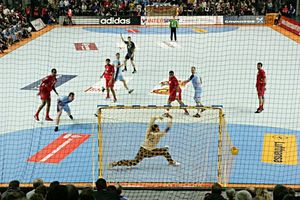 Handball Tornetz mit Hexagonalmasche