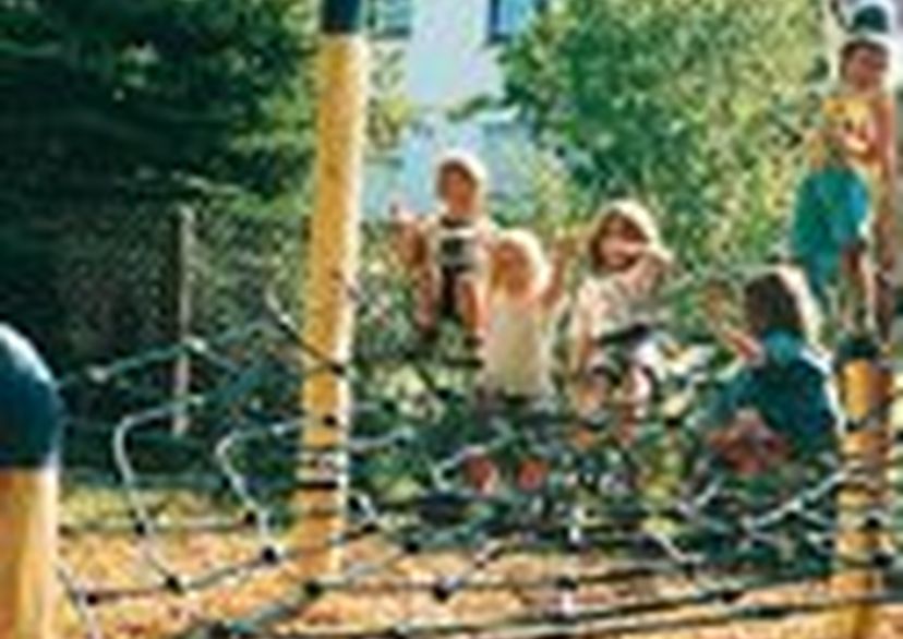 Spider-web net
