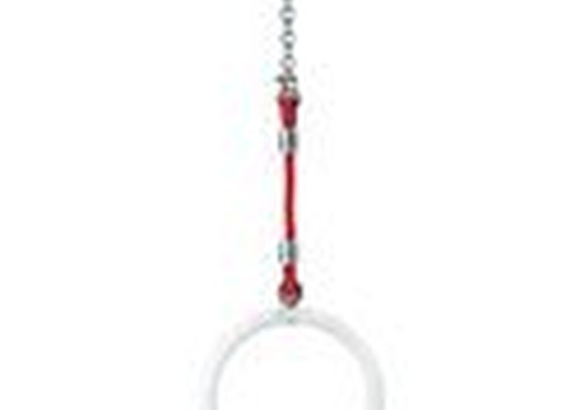 Gymnastics rings