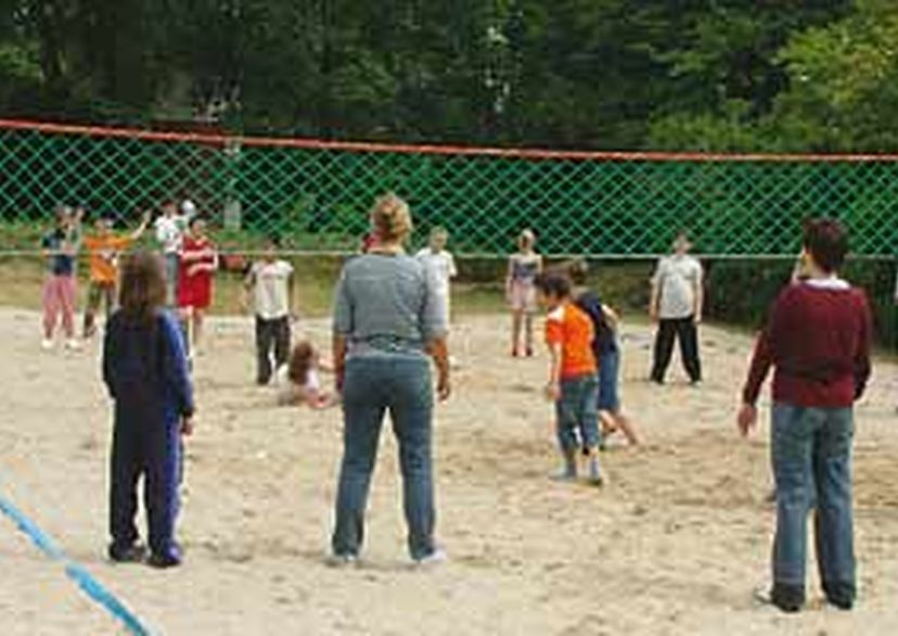 Volleyballnetz aus Herkules in Grün