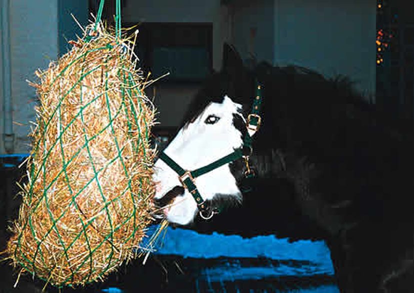 Heutnetz für Reitsport und Landwirtschaft