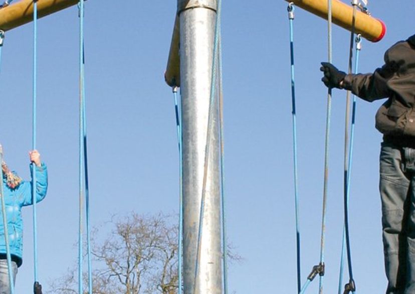 Vogelnestbaum Midi