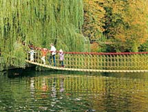 Netzbrücke